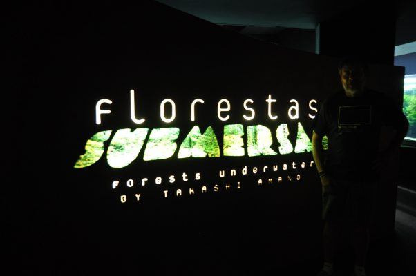 Florestas submersas