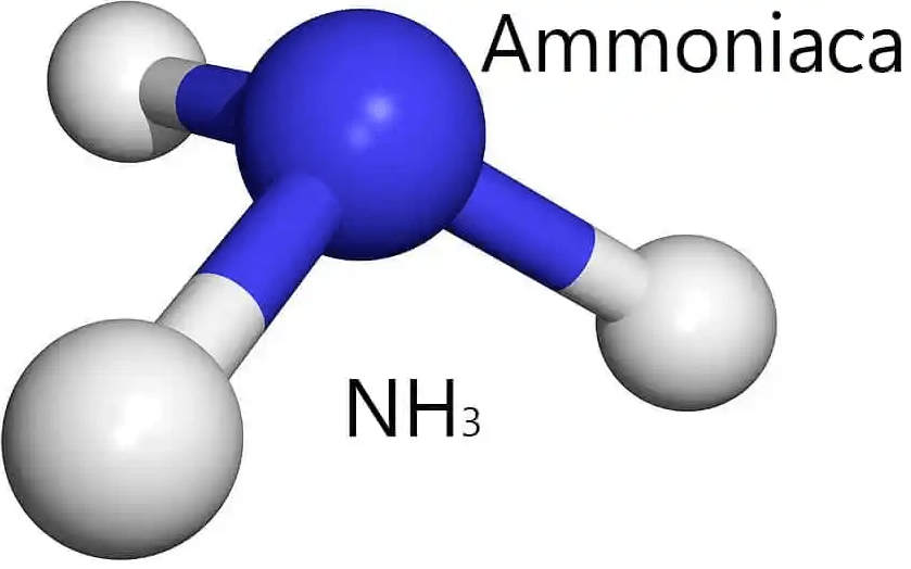 ammoniaca