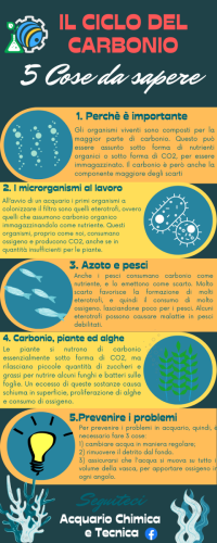 Carbonio in acquario