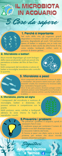 Microbiota