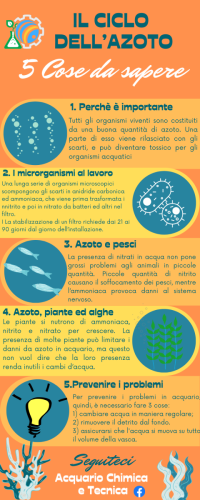 Il ciclo dell'azoto